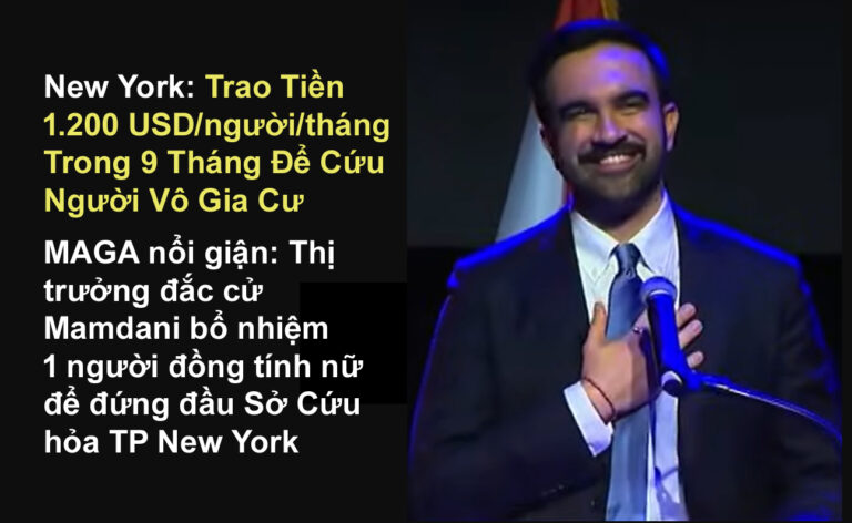 NEW YORK: TRAO TIỀN 1.200 USD/NGƯỜI/THÁNG TRONG 9 THÁNG ĐỂ CỨU NGƯỜI VÔ GIA CƯ